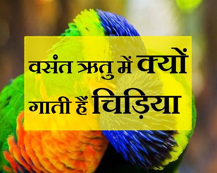 आखिर वसंत ऋतु में ही पंछी क्यों गुनगुनाते हैं? जानिए क्या कहता है शोध... - birds are singing in Vasant ritu