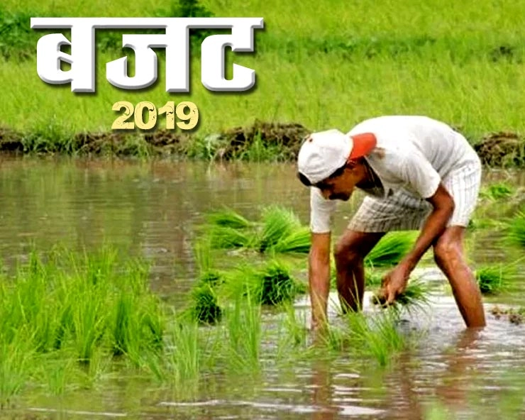 बजट में किसानों के लिए 'प्रधानमंत्री किसान सम्मान निधि', सालाना 6,000 रुपए दिए जाएंगे - budget for farmers 2019
