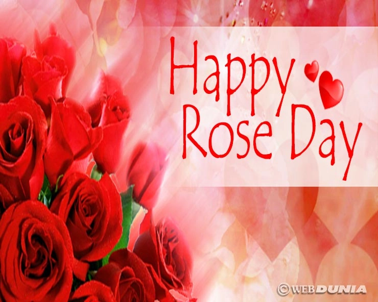 हैप्पी रोज डे : आज वेलेंटाइन डे सेलिब्रेशन का पहला दिन। Rose Day 2019 - Rose Day 2019