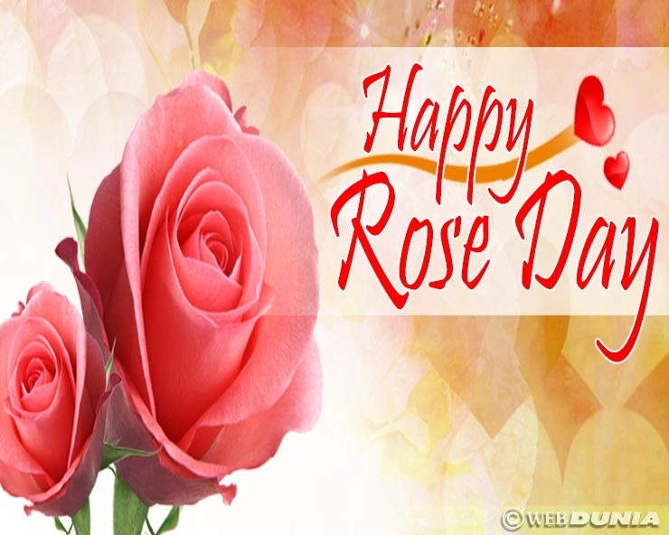 कई रंग-बिरंगे गुलाबों से सजा है बाजार, जानिए अपने प्रेमी को किस रंग का दें गुलाब - Happy rose day