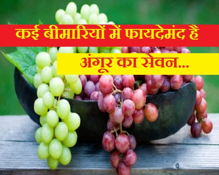 अंगूर पसंद नहीं, तो जान लीजिए कि कई बीमारियों में फायदेमंद है इसका सेवन - 8 Health Benefits of Grapes