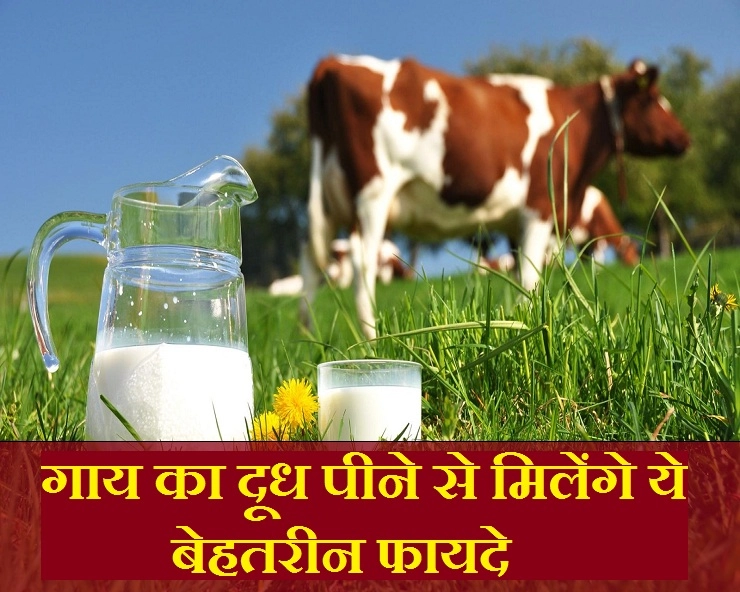 पैकेट का दूध पीते हैं? तो पहले जान लीजिए गाय के दूध से मिलने वाले बेहतरीन फायदे - 12 health benefits of cow milk