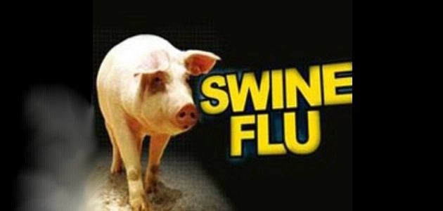 Swine flu। यमन में स्वाइन फ्लू का जबरदस्त कहर, 139 लोगों की मौत - Swine flu deaths in Yemen