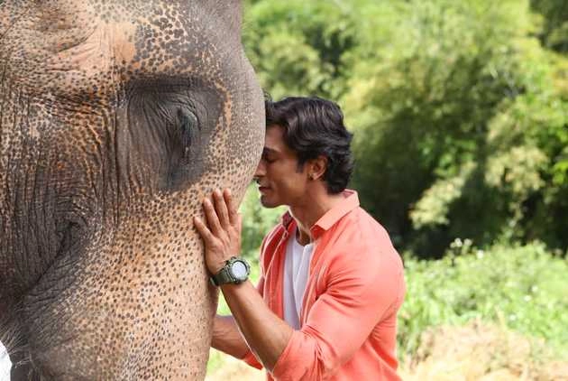 40 साल बाद जंगली में पर्दे पर देखने को मिलेगा इंसान और जानवर का खास रिश्ता - vidyut jammwal film junglee