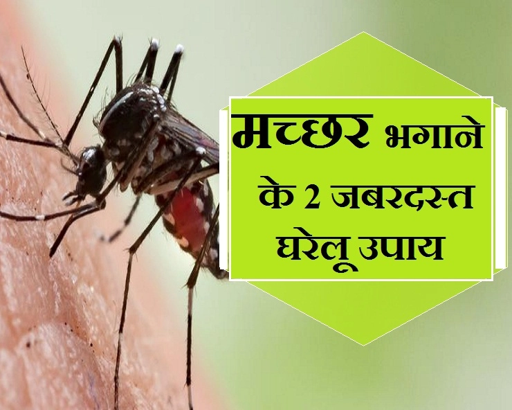 अगर इन 2 उपायों को आजमा लिया, तो मच्छर आपके पास भी नहीं फटकेंगे - 2 Great Home Remedies for Mosquitoes