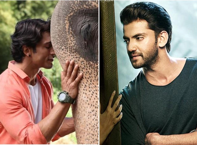 Box Office पर जंगली और नोटबुक ने किया निराश - Notebook, Junglee, Vidyut Jamwal, Salman Khan, Box Office Colletion