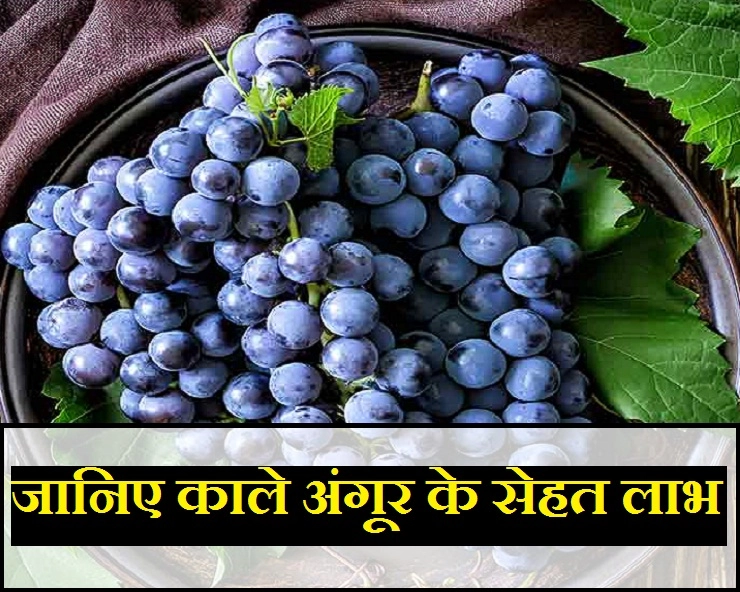 गर्मियों में करें काले अंगूर का सेवन, कई बीमारियां होंगी दूर - Health Benefits of black grapes in summers
