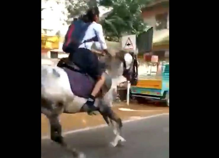 घोड़े पर सवार होकर परीक्षा देने पहुंची 10वीं की छात्रा, आनंद महिन्द्रा ने वीडियो शेयर कर की तारीफ - schoolgirl horse riding and give 10th class exam in kerala anand mahindra praised