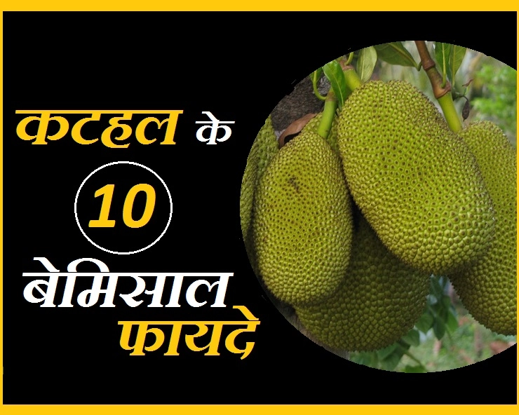 कटहल के शौकीन हैं या कटहल बिल्कुल पसंद नहीं? फिर भी एक बार जरूर पढ़ें इसके 10 फायदे - Jackfruit Or Kathal Health Benefit In Hindi