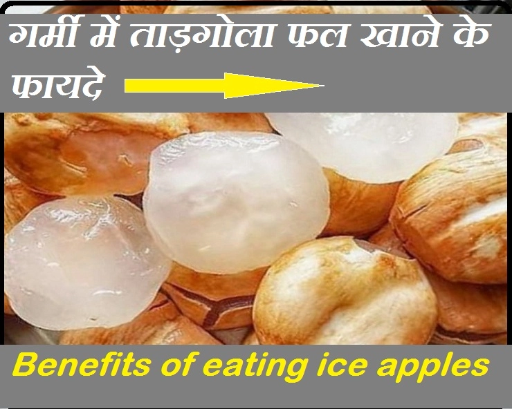 ठंडी तासीर वाले ताड़गोला फल के बारे में सुना है? जानिए गर्मी में इसे खाने के 6 फायदे - 6 Health Benefits of Ice Apple or Tadgola