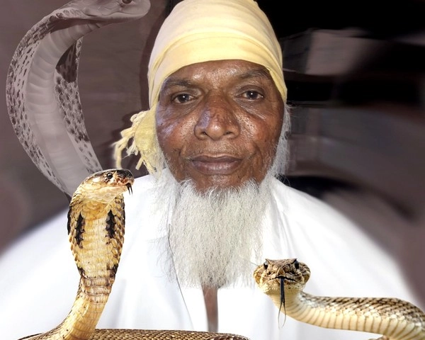 उम्र 60 साल, बेखौफ पकड़े 5 लाख से ज्यादा सांप - Snake Razak Babbu Mian Neemuch