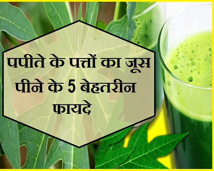 ताउम्र स्वस्थ रहना चाहते हैं तो पिएं पपीते के पत्तों का जूस, होंगे ये फायदे - 5 Best Benefits of Papaya Leaf Juice