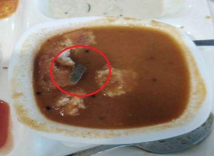 हल्दीराम के खाने में ‘मरी हुई छिपकली’ मिली, FDA ने बंद किया रेस्त्रां - Haldiram, Lizard