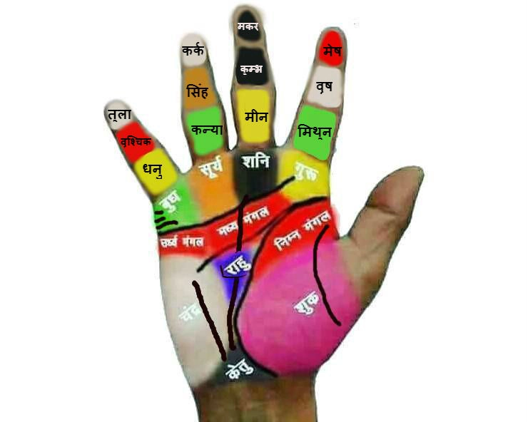 हस्तरेखा- हाथों में राशि, ग्रह, शंख और चक्र कहां रहते हैं, जानिए अपना भविष्य - hast rekha bhavishya in hindi