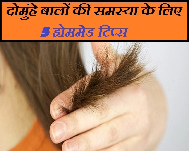 दोमुंहे बालों की समस्या से निजात पाने के 5 असरदार घरेलू नुस्खे - 5 homemade tips for split end hair