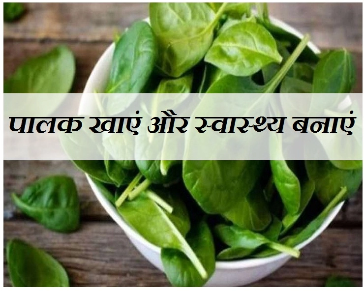 स्वास्थ्य के लिए बेहद असरदार है पालक, नहीं खाते तो फायदे जानकर खाने लगेंगे। Palak benefits - spinach benefits