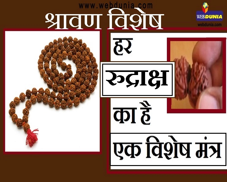 श्रावण मास में धारण करें रुद्राक्ष : जानिए, किस शुभ फल के लिए किस मंत्र के साथ पहनें - Rudraksh Mantra