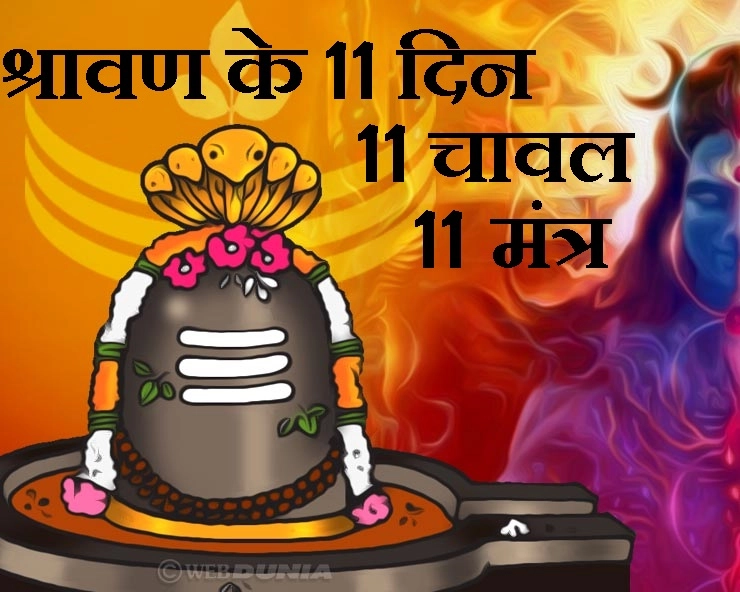 Shravan 2019  : श्रावण के पहले 11 दिन, 11 चावल और 11 शिव मंत्र का यह प्रयोग आपको मालामाल कर देगा - Shravan maas prayog upay