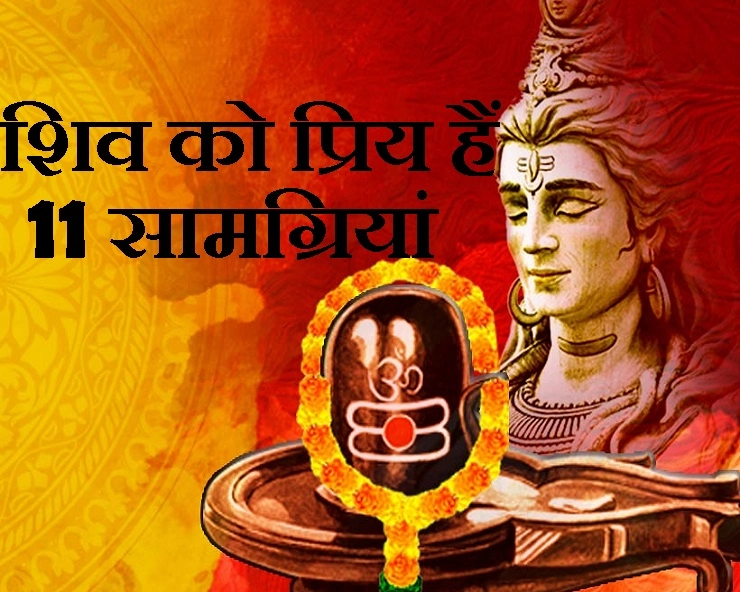 श्रावण मास 2019 विशेष : इन 11 वस्तुओं से भगवान शिव होते हैं बहुत प्रसन्न, देते हैं दिल से वरदान - 11 ways to please Lord Shiva