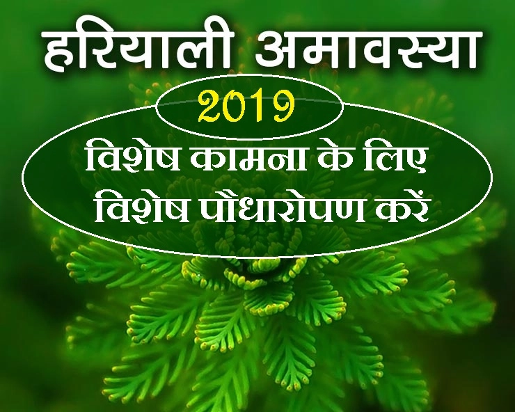 Hariyali Amavsya 2019 : हरियाली अमावस्या के दिन पौधे लगाएं लेकिन मुहूर्त का रखें खास ध्यान - Hariyali Amavasya 2019 plantation