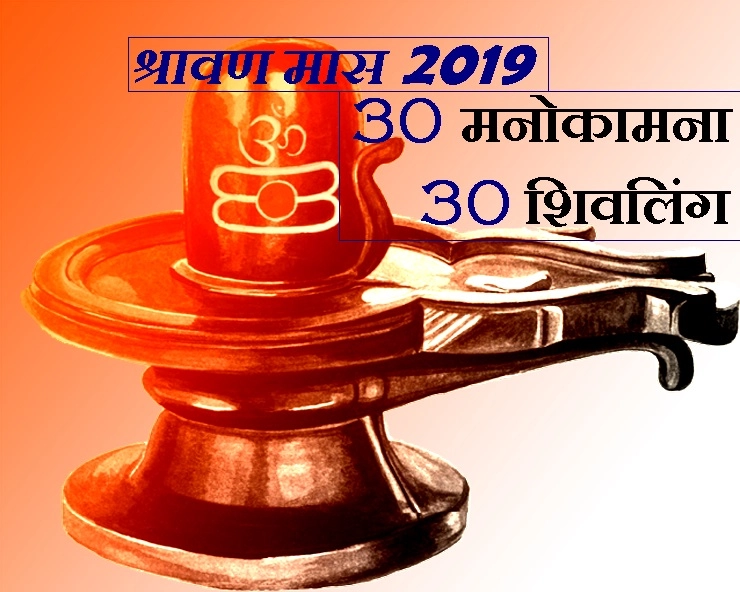 श्रावण मास 2019 : विशेष शिवलिंग पूजन से होगी 30 मनोकामना पूरी, यह जानकारी है जरूरी - shravan 30 shivling abhishek