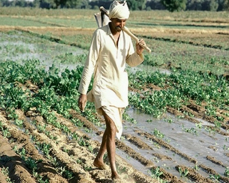 मप्र में सिंचाई योजनाओं के लिए 137 करोड़ रुपए मंजूर - 137 crores sanctioned for irrigation schemes in Madhya Prades