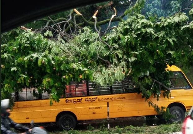 बच्चों से भरी स्कूल बस पर गिरा पेड़, बाल-बाल बची 17 मासूमों की जान - tree falls on school bus in Karnataka