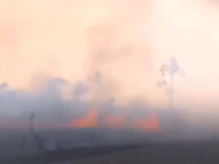 Video : धरती के फेफड़ों में लगी आग, साओ पाओलो में दिन में छाया अंधेरा...