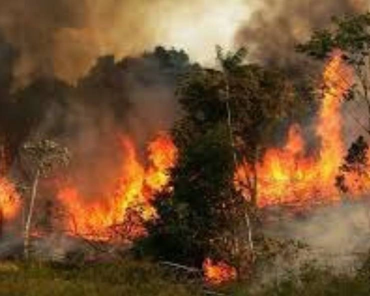 क्या मानव जाति प्रलय की ओर बढ़ रही है? भीषण गर्मी, पानी और आग ने इंसानों को दिखाई औकात... - Fire in the amazon jungles