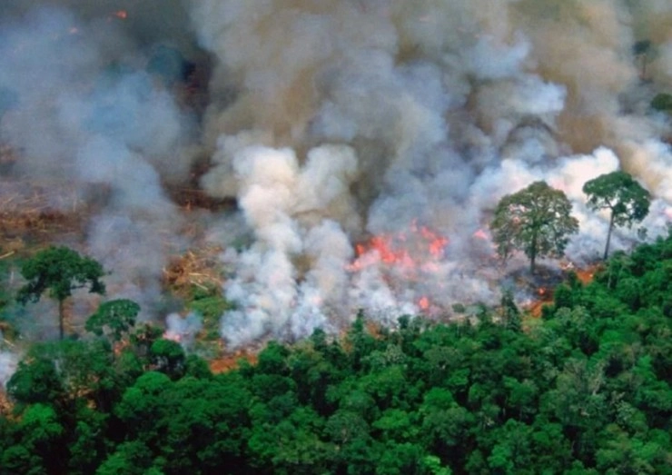 अमेजन के जंगलों की निगरानी के लिए चीन और ब्राजील ने छोड़ी सैटेलाइट - Amazon forest monitoring