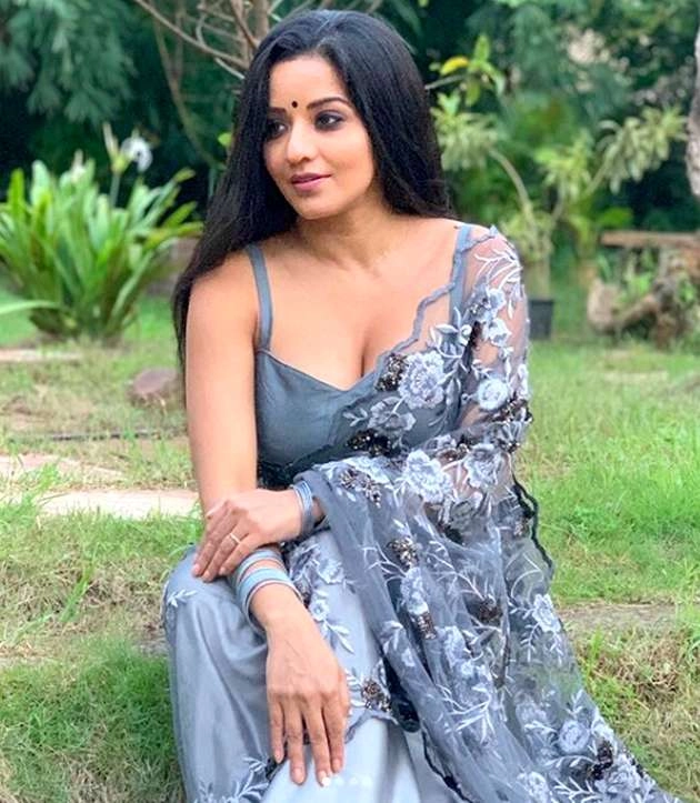 साड़ी में दिखा मोनालिसा का बोल्ड अंदाज - bhojpuri actress monalisa hot and bold grey saree photos viral on social media