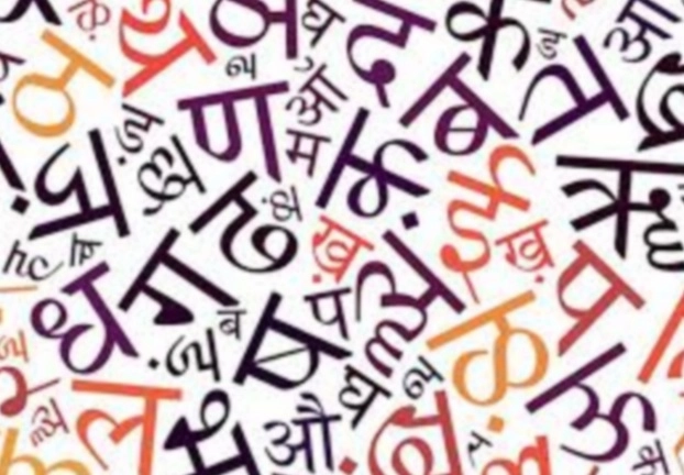 हिंदी सिर्फ वोट मांगने की भाषा ही बनी रहेगी! - Indian language Hindi