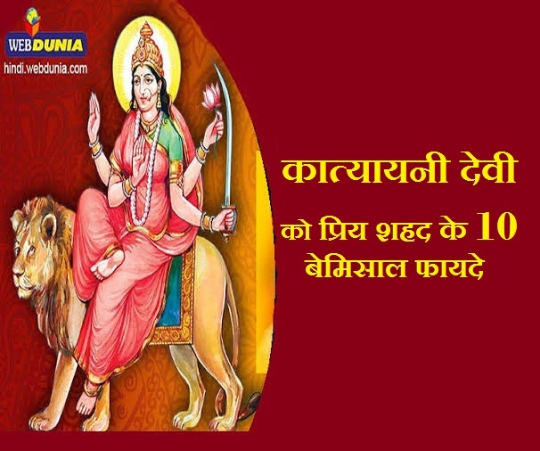 Devi Katyayani को प्रिय है शहद का भोग, जानिए इसके 10 बेमिसाल सेहत फायदे - 6th day navratri devi prasad