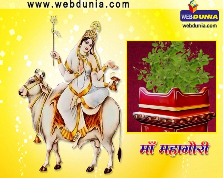 Mahagauri Devi : महाष्टमी की देवी महागौरी का औषधीय स्वरूप आपको चौंका देगा। Mahagauri and tulsi - navratri and health