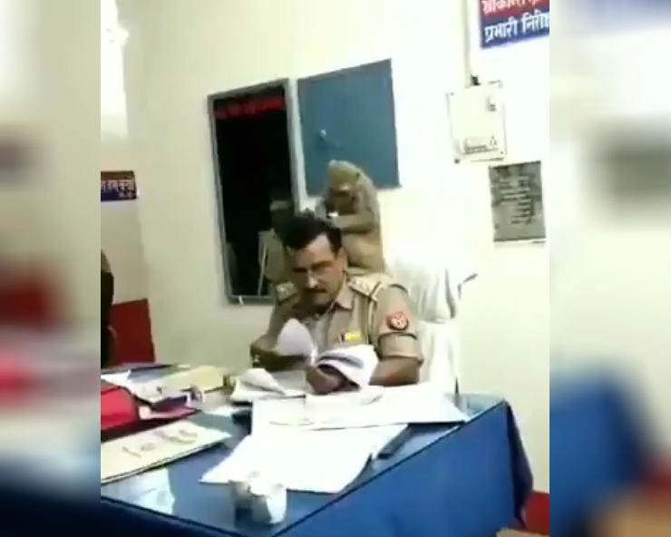 यूपी पुलिस के कोतवाल के कंधे पर बैठकर जुएं बीनने लगा बंदर...VIDEO वायरल - UP police inspector, monkey video viral