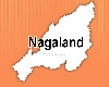 Nagaland Assembly Election : नगालैंड में सरकार बनाने के लिए गठबंधन को तैयार रहेगी एनपीएफ