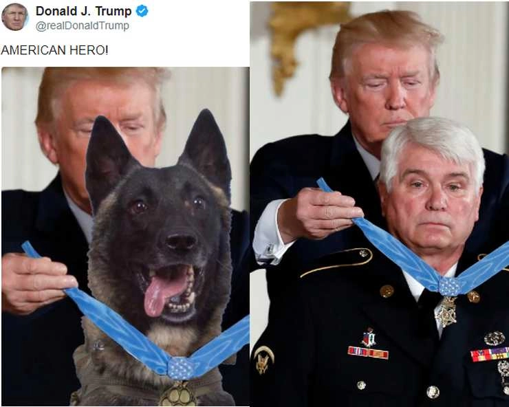 डोनाल्ड ट्रंप ने साहसी सैन्य कुत्ते को पहनाया मैडल, फेक फोटो से सोशल मीडिया पर हुई किरकिरी