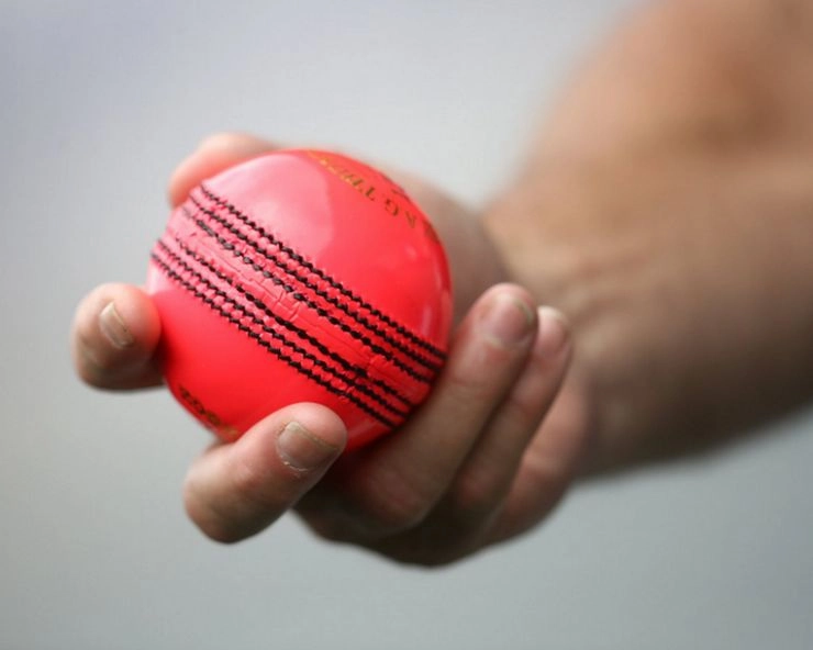 महान ऑस्ट्रेलियाई स्पिनर ने कहा 'टेस्ट में इस्तेमाल हो सिर्फ गुलाबी गेंद' - Legendry aussie spin bowler Shane Warne wants only pink ball in tests
