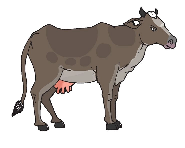 gopashtami 2019 : गाय क्यों है महत्वपूर्ण, जानिए 17 वैज्ञानिक कारण - scientific reasons for cow
