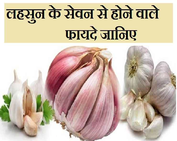औषधीय गुणों से भरपूर है लहसुन, अनेक रोगों का करता है निवारण - benefits of garlic