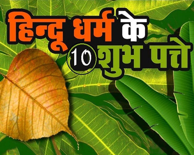 Religious benefits of 10 leaves : सौभाग्य के लिए अच्छे, ये 10 शुभ पत्ते