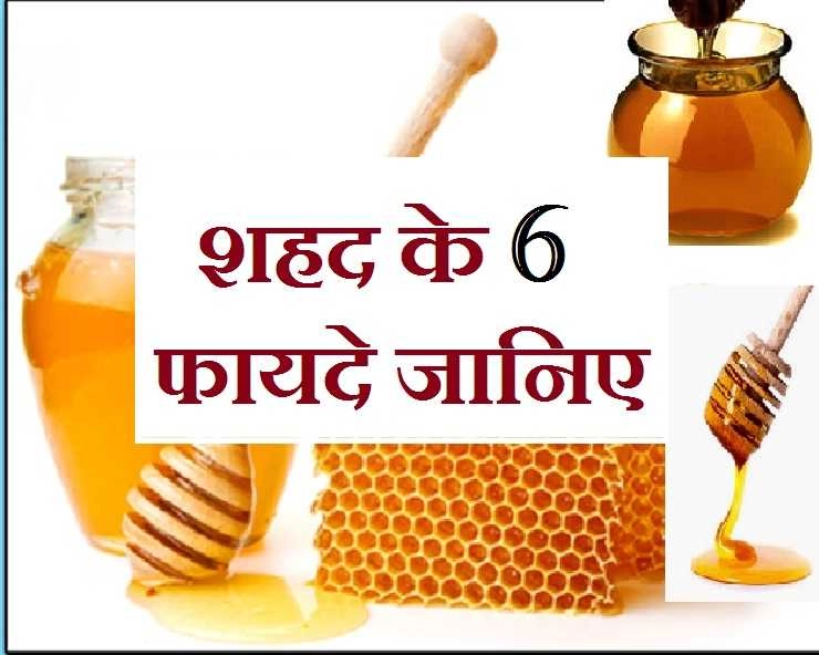 बहुत गुणकारी है शहद, जानिए इससे होने वाले 6 फायदों के बारे में - Benefits of honey
