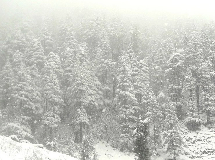 Weather update : उत्तर भारत में शीतलहर का प्रकोप जारी, चंडीगढ़ में कई उड़ानें बाधित