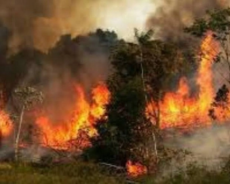 अमेरिका में नई मुसीबत, जंगल में लगी भीषण आग 10 लाख एकड़ में फैली, हजारों घर जलकर खाक