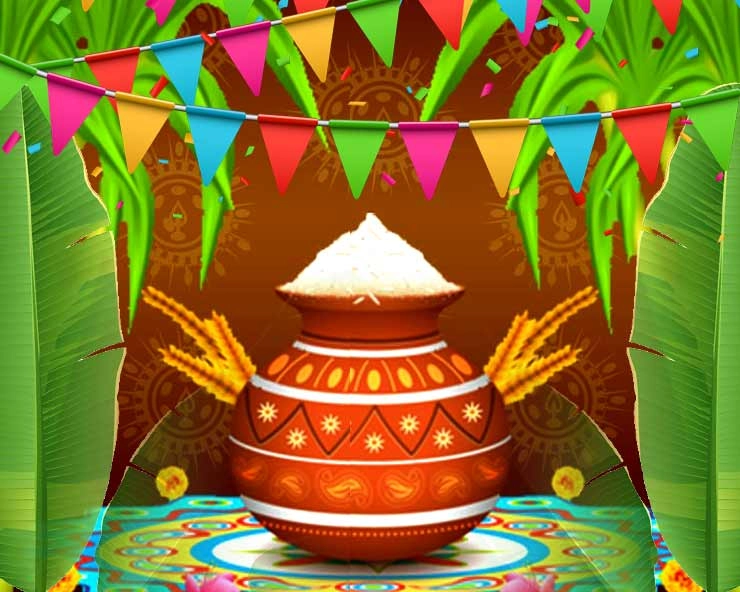 Pongal festival 2020 | 4 दिन का उत्सव है पोंगल, जानिए कैसे मनाते हैं त्योहार?