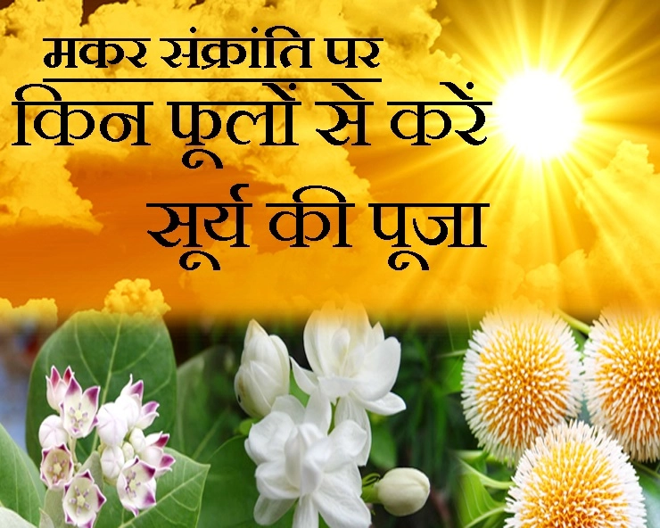 सूर्य उपासना का पवित्र दिन है मकर संक्रांति, आइए जानें कैसे करें प्रसन्न सूर्य देव को - makar sankranti 2020 puja