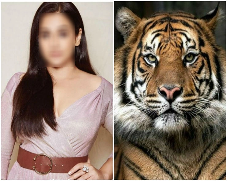 14 लोगों को मारने वाली ‘आदमखोर’ शेरनी अवनि पर बनने जा रही है फिल्म, ये एक्ट्रेस निभाएंगी लीड रोल - Vidya Balan to play forest officer in film based on man eater tigress Avni