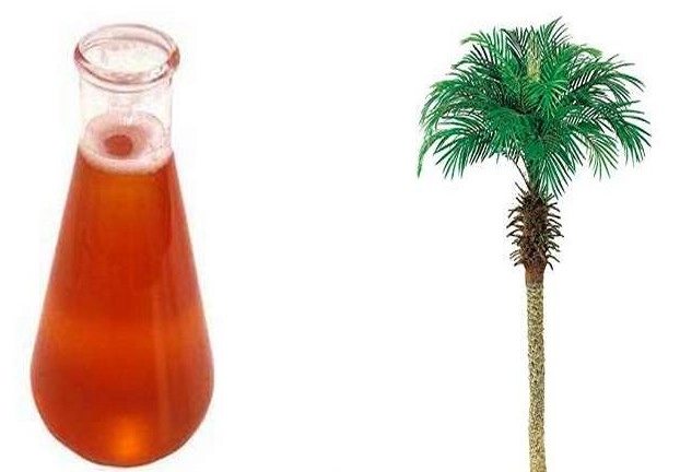 मलेशिया से सस्ता पाम ऑयल क्या कहीं और मिल सकता है? - Palm oil Malaysia