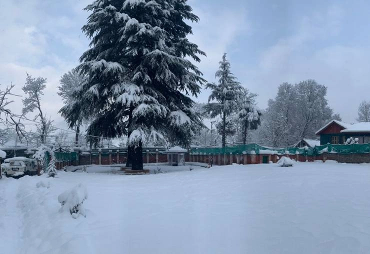 हिमाचल प्रदेश के कई हिस्‍सों में बर्फबारी, शीतलहर हुई तेज - Snowfall, cold wave intensifies in many parts of Himachal