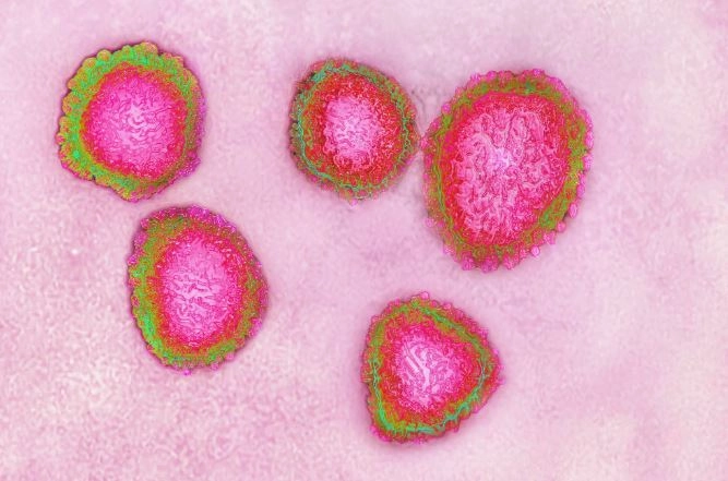 कितना खतरनाक है और इंसान के किस हिस्‍से में अटैक कर रहा ‘कोरोनोवायरस’ - coronavirus